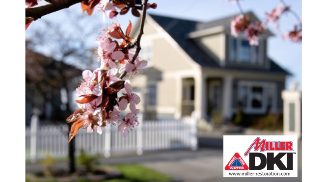 Top 10 Spring Home Maintenance Tips