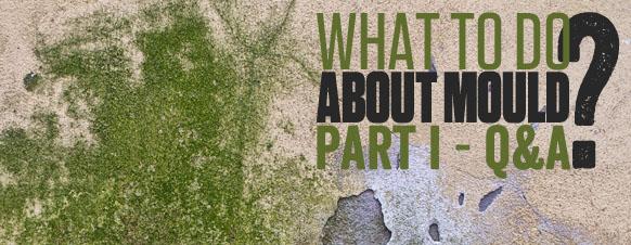 What to do about mould? Part I - Q & A