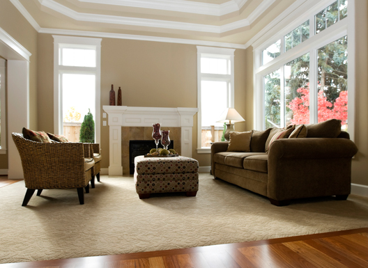 Carpet Cleaning Living Room