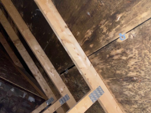 <div class='gallery-image-caption'>Before and After of  underside of roof decking.</div>