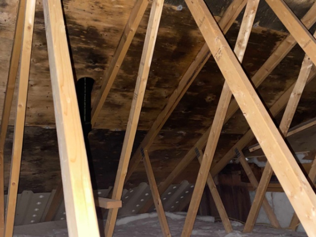<div class='gallery-image-caption'>Resulted in a clean mould free attic. Ready for re sale.</div>